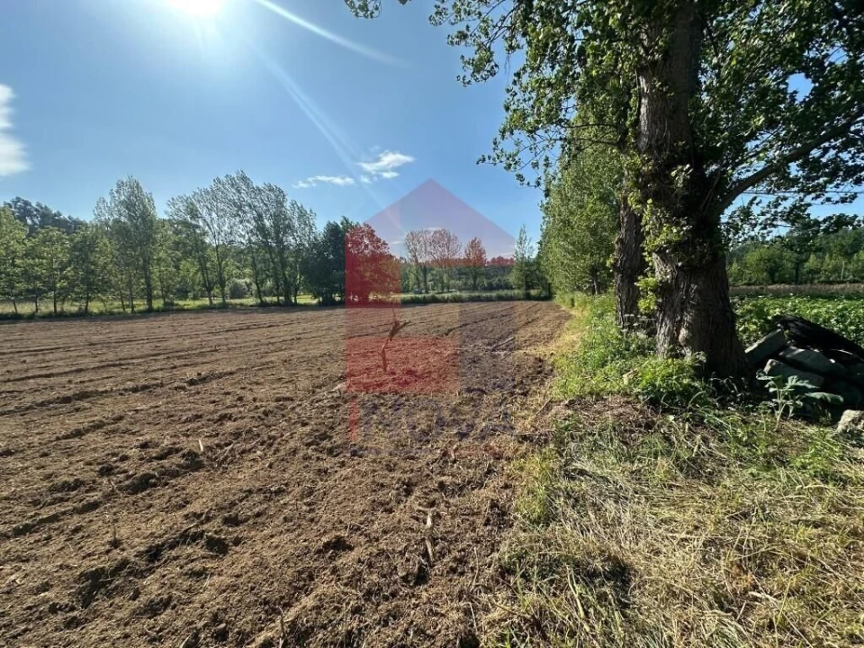 Terreno para Venda em Carreiras (São Miguel) e Carreiras (Santiago) Foto 8
