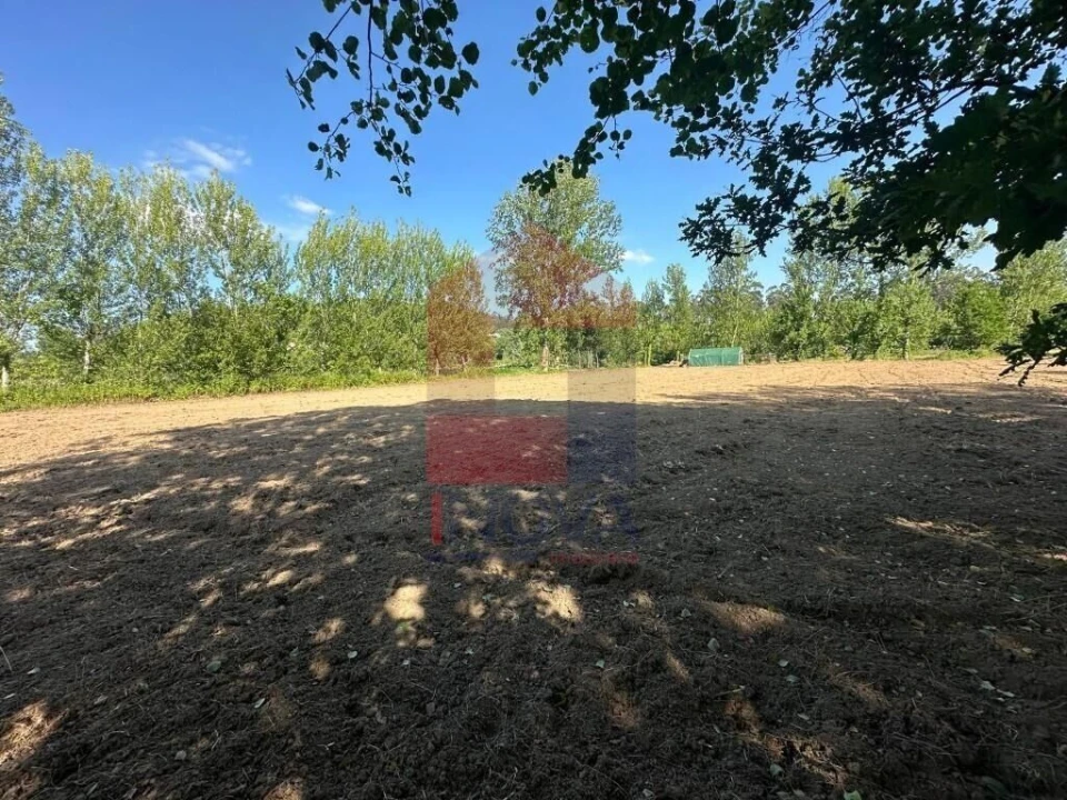 Terreno para Venda em Carreiras (São Miguel) e Carreiras (Santiago) Foto 14