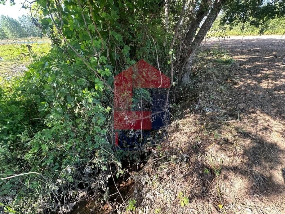 Terreno para Venda em Carreiras (São Miguel) e Carreiras (Santiago) Foto 12
