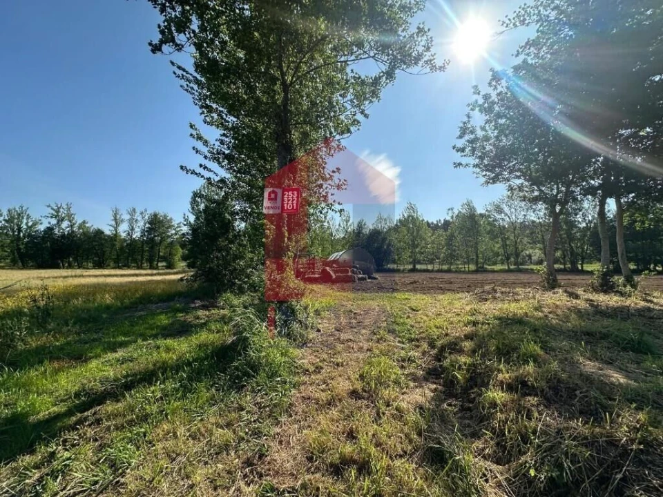 Terreno para Venda em Carreiras (São Miguel) e Carreiras (Santiago) Foto 18