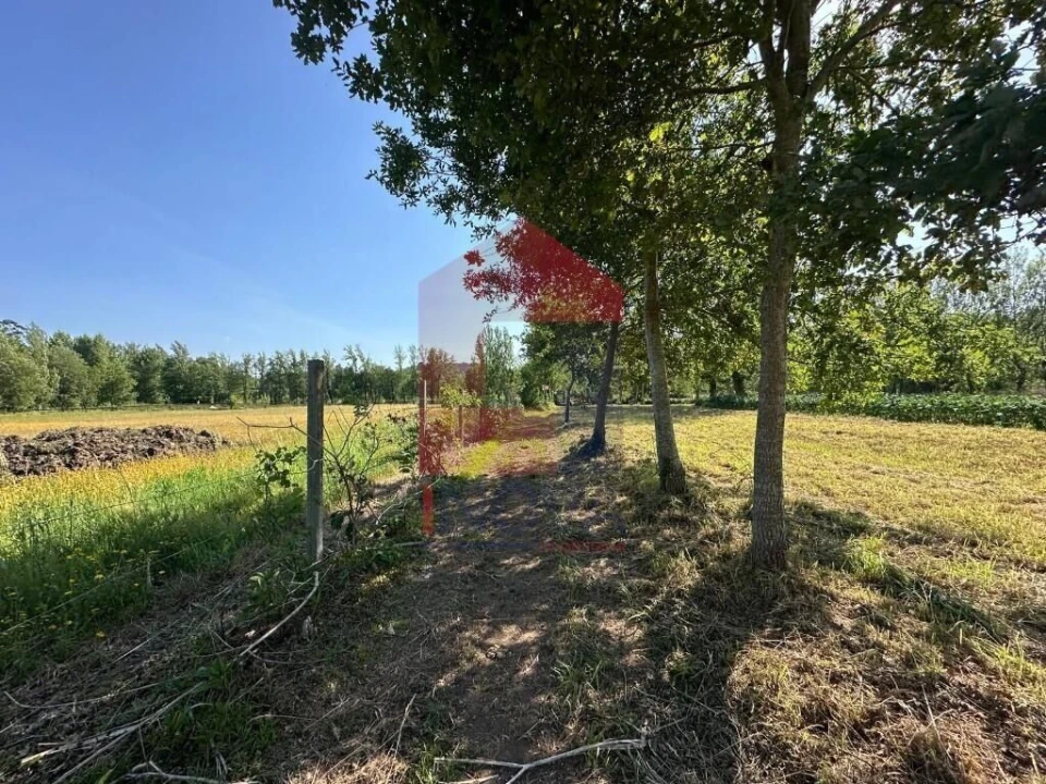 Terreno para Venda em Carreiras (São Miguel) e Carreiras (Santiago) Foto 21