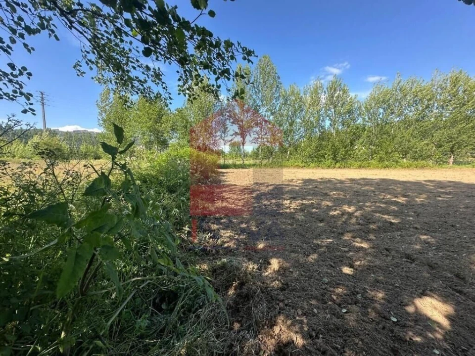 Terreno para Venda em Carreiras (São Miguel) e Carreiras (Santiago) Foto 15