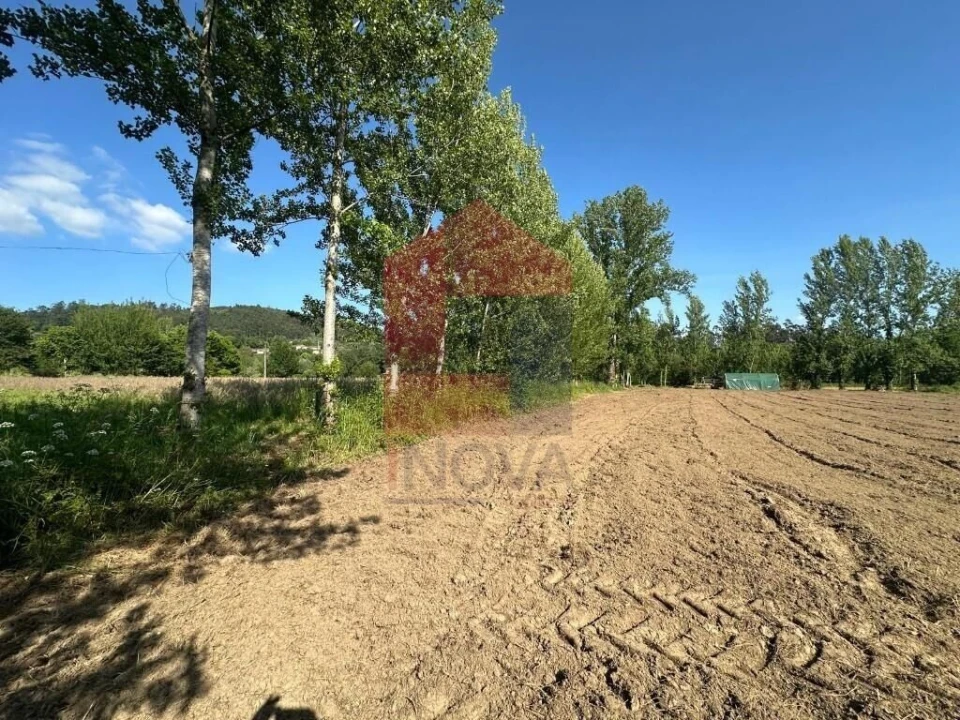 Terreno para Venda em Carreiras (São Miguel) e Carreiras (Santiago) Foto 4
