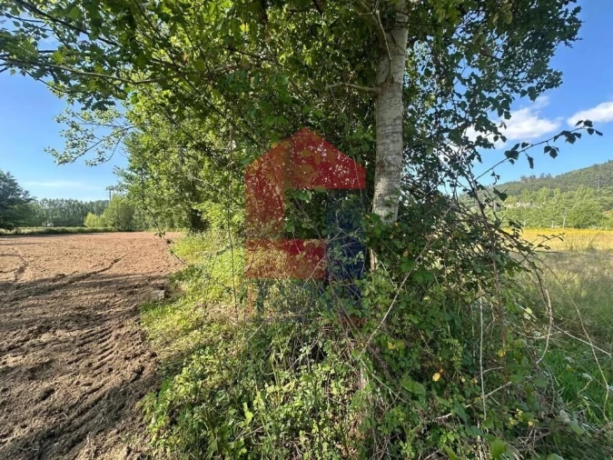 Terreno para Venda em Carreiras (São Miguel) e Carreiras (Santiago) Foto 6