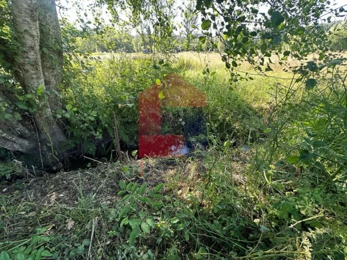 Terreno para Venda em Carreiras (São Miguel) e Carreiras (Santiago) Foto 17