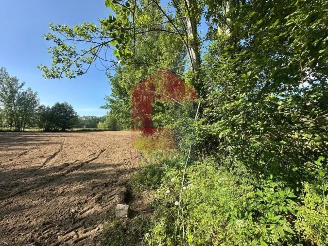 Terreno para Venda em Carreiras (São Miguel) e Carreiras (Santiago) Foto 3