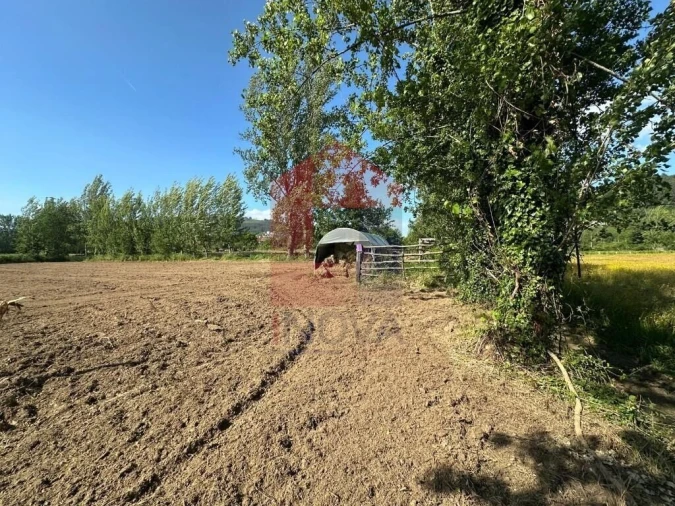 Terreno para Venda em Carreiras (São Miguel) e Carreiras (Santiago) Foto 7