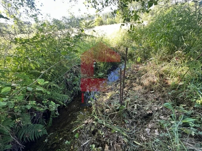 Terreno para Venda em Carreiras (São Miguel) e Carreiras (Santiago) Foto 13