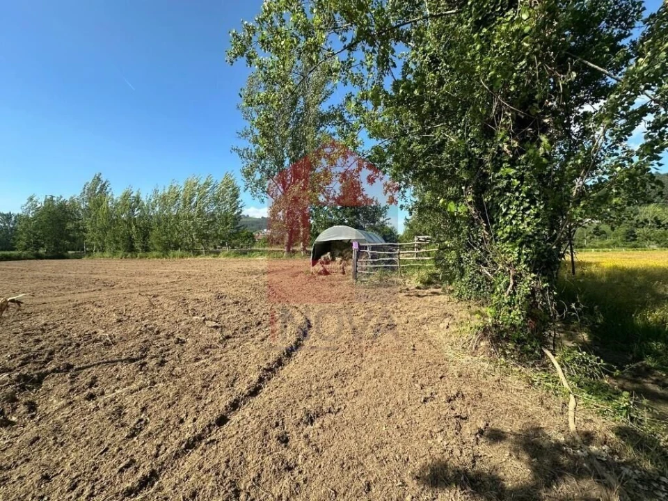 Terreno para Venda em Carreiras (São Miguel) e Carreiras (Santiago) Foto 7