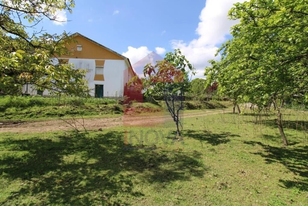 Moradia T3 para Venda em Escariz (São Mamede) e Escariz (São Martinho) Foto 55