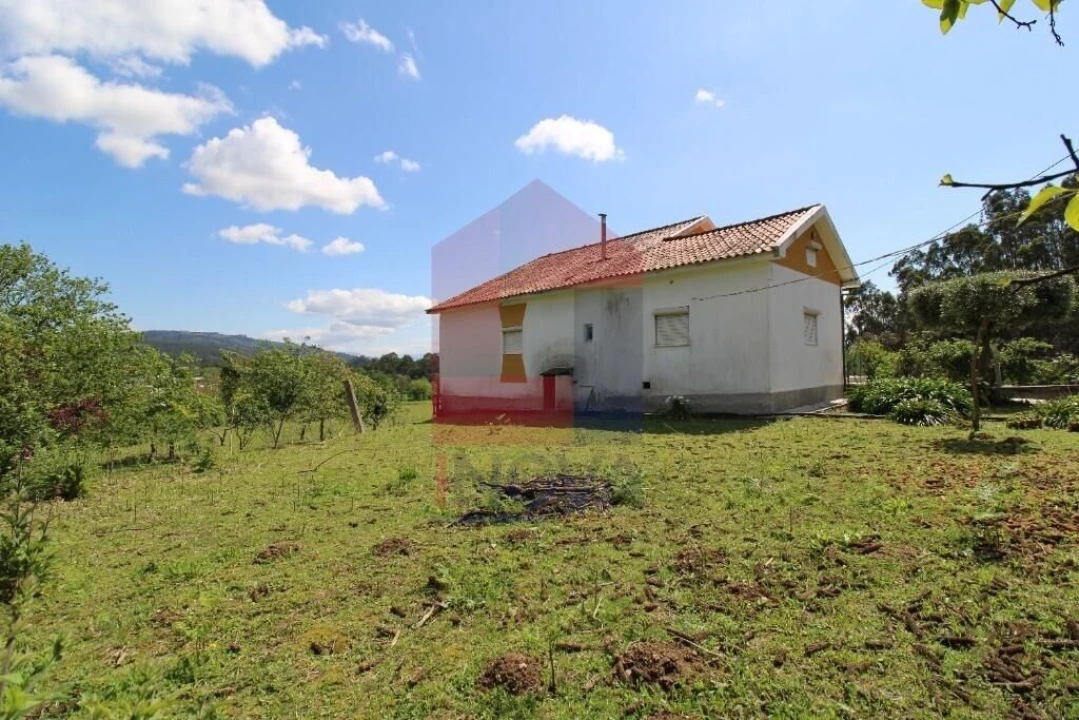 Moradia T3 para Venda em Escariz (São Mamede) e Escariz (São Martinho) Foto 34