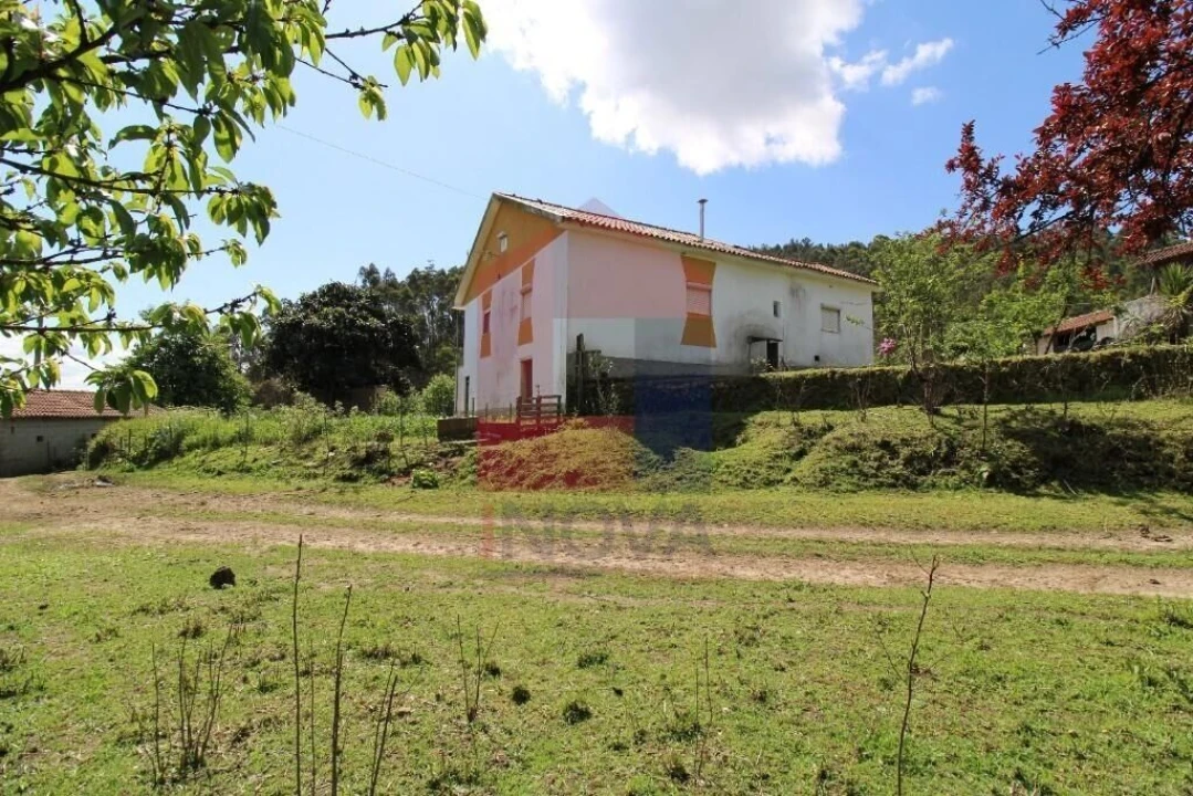 Moradia T3 para Venda em Escariz (São Mamede) e Escariz (São Martinho) Foto 38