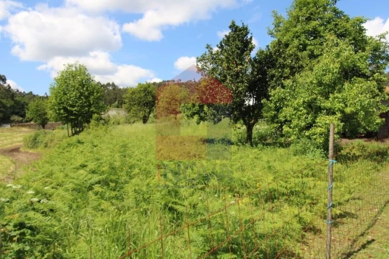Moradia T3 para Venda em Escariz (São Mamede) e Escariz (São Martinho) Foto 46