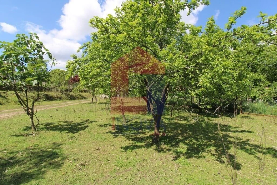Moradia T3 para Venda em Escariz (São Mamede) e Escariz (São Martinho) Foto 54