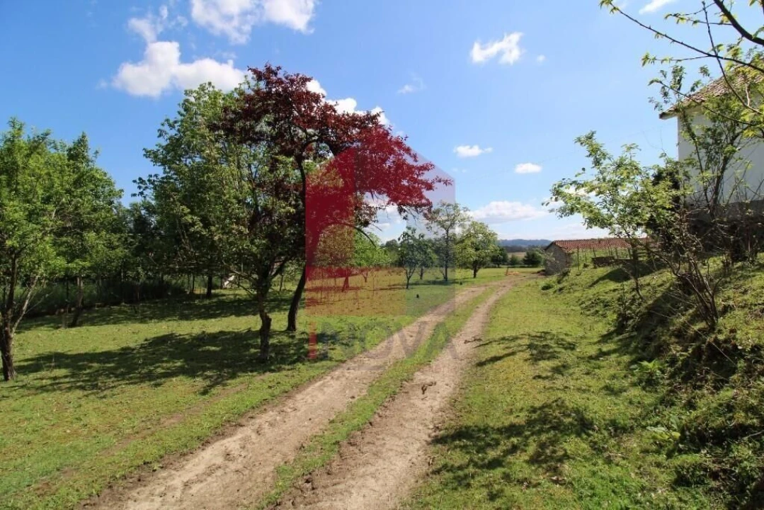 Moradia T3 para Venda em Escariz (São Mamede) e Escariz (São Martinho) Foto 37