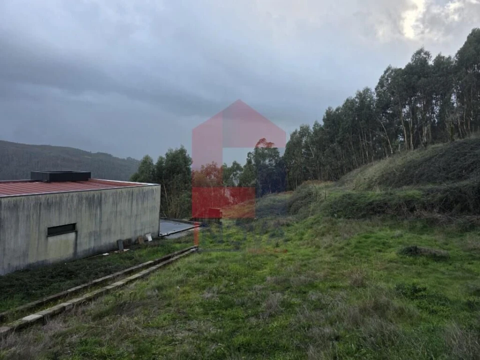 Moradia T3 para Venda em Carreiras (São Miguel) e Carreiras (Santiago) Foto 22