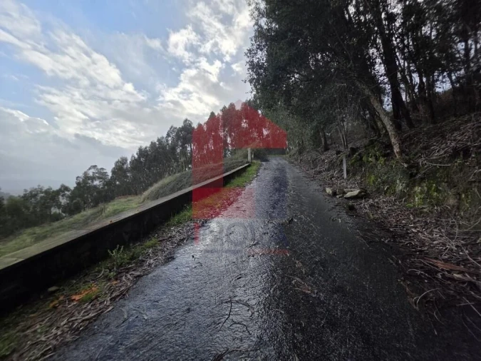 Moradia T3 para Venda em Carreiras (São Miguel) e Carreiras (Santiago) Foto 38