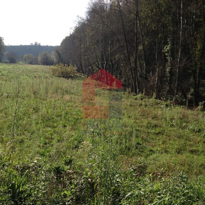 Terreno para Venda em Marrancos e Arcozelo Foto 1