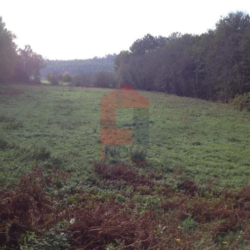 Terreno para Venda em Marrancos e Arcozelo Foto 2