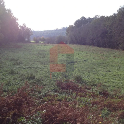 Terreno para Venda em Marrancos e Arcozelo Foto 4