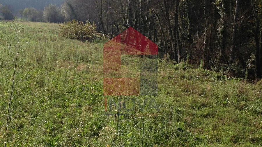 Terreno para Venda em Marrancos e Arcozelo