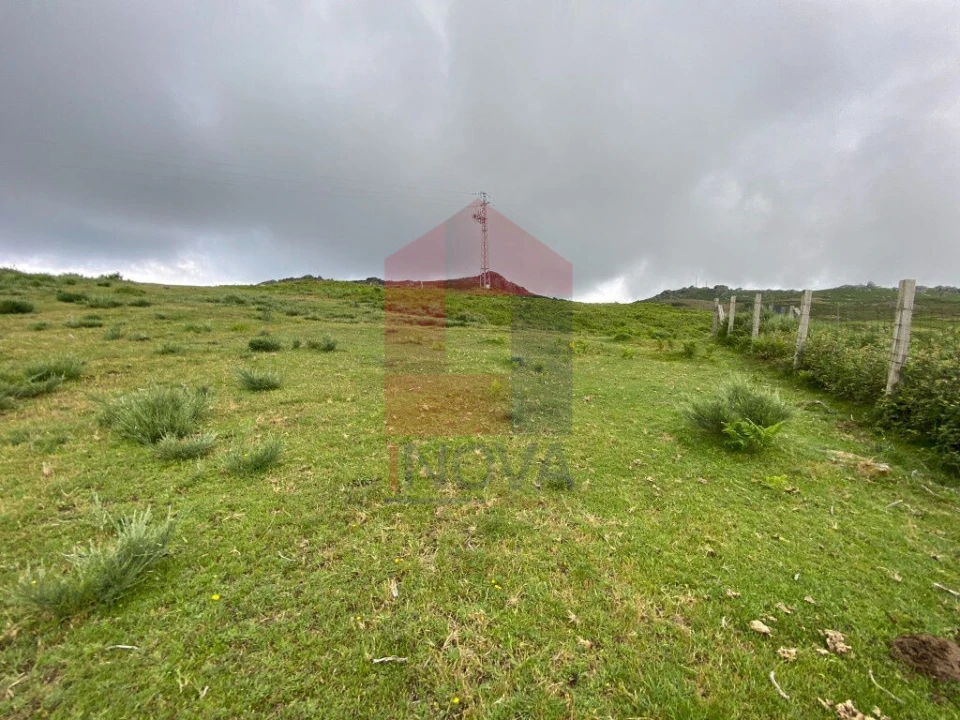 Terreno para Venda em Cibões e Brufe Foto 13