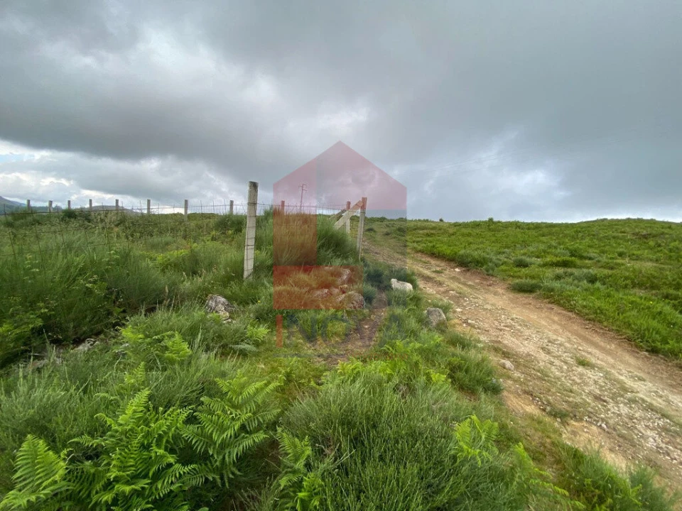 Terreno para Venda em Cibões e Brufe Foto 20