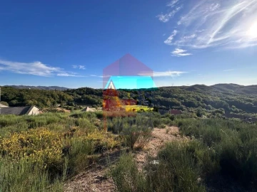 Terreno para Venda em Cibões e Brufe