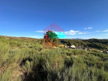 Terreno para Venda em Cibões e Brufe