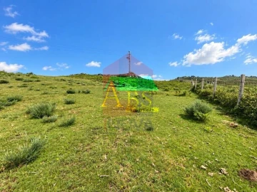Terreno para Venda em Cibões e Brufe