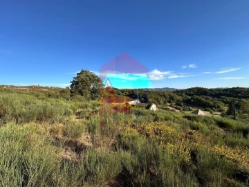 Terreno para Venda em Cibões e Brufe