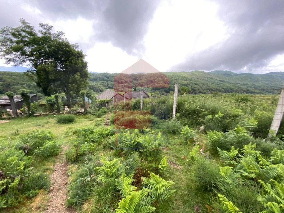 Terreno para Venda em Cibões e Brufe Foto 19