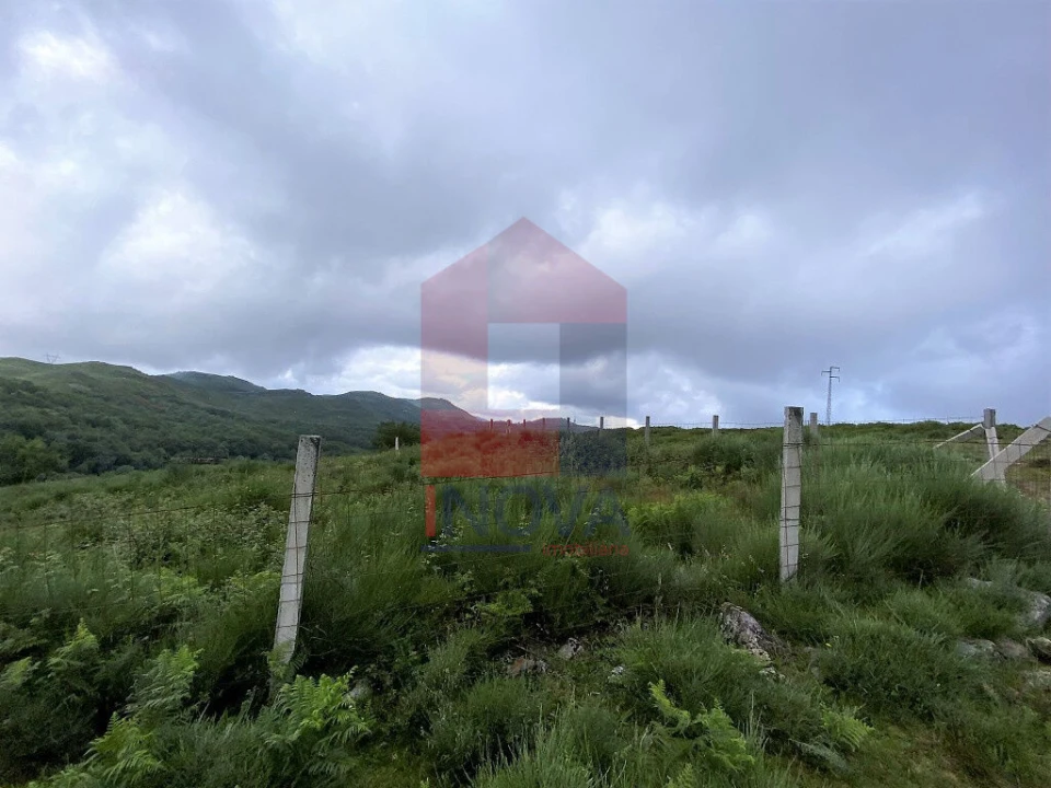 Terreno para Venda em Cibões e Brufe Foto 21