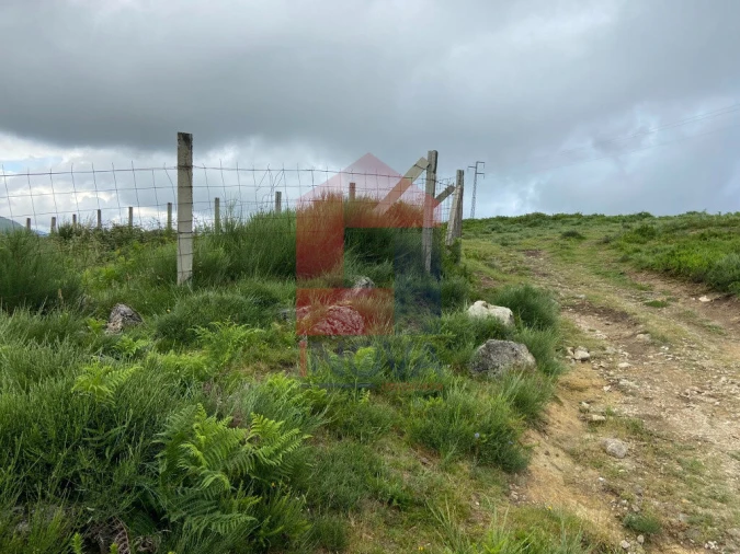 Terreno para Venda em Cibões e Brufe Foto 18