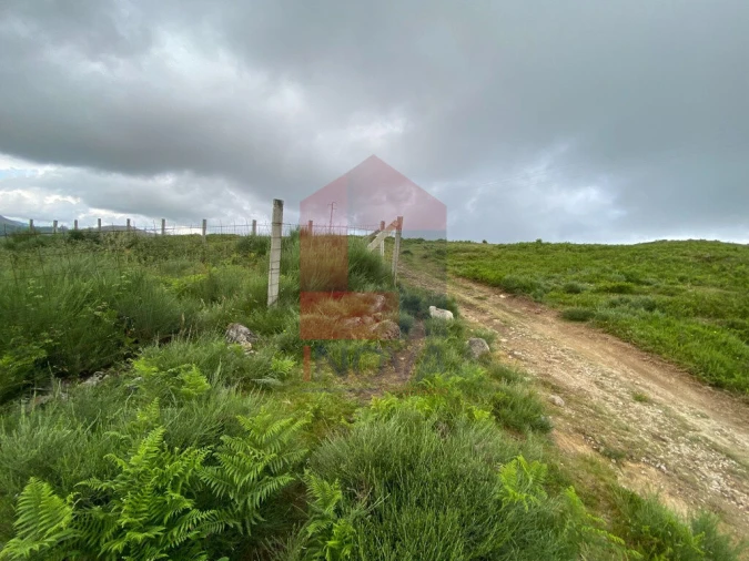 Terreno para Venda em Cibões e Brufe Foto 20