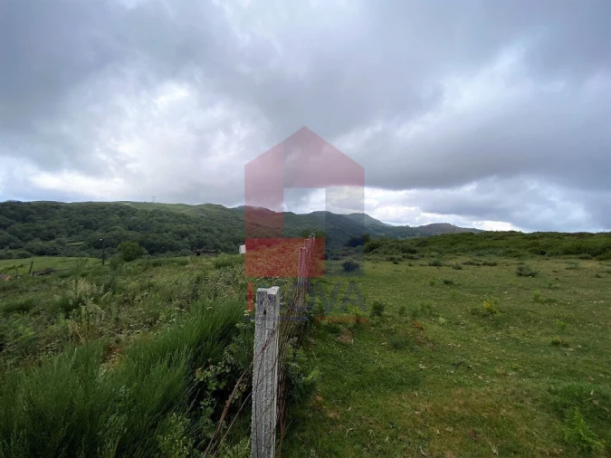 Terreno para Venda em Cibões e Brufe Foto 16