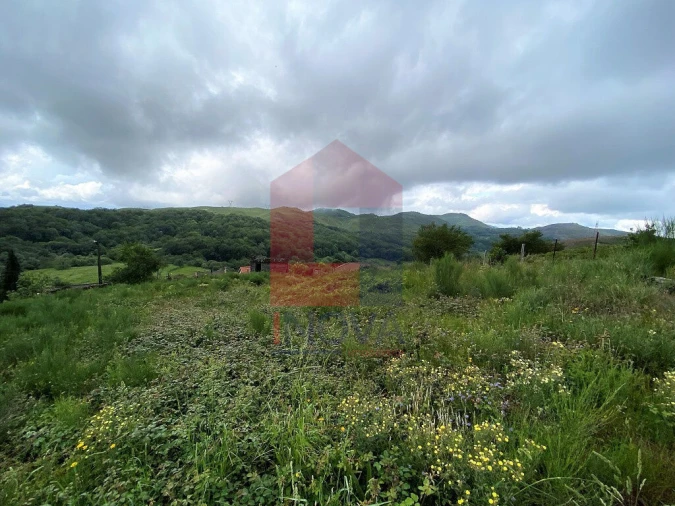 Terreno para Venda em Cibões e Brufe Foto 5