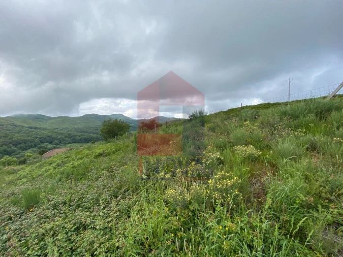 Terreno para Venda em Cibões e Brufe Foto 8