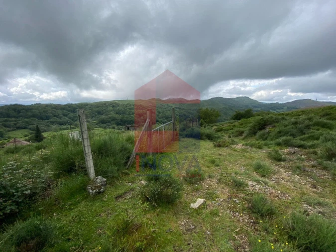 Terreno para Venda em Cibões e Brufe Foto 14