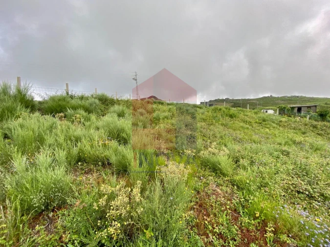 Terreno para Venda em Cibões e Brufe Foto 9