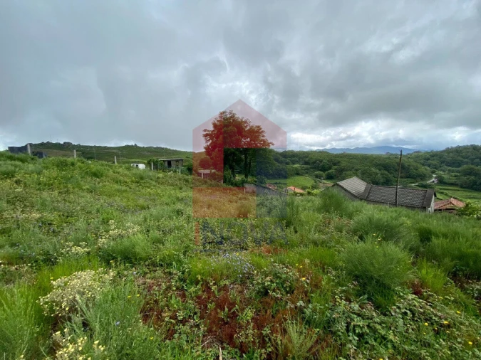 Terreno para Venda em Cibões e Brufe Foto 7