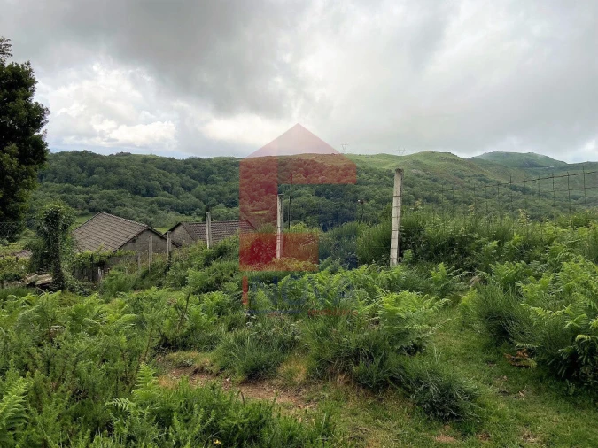 Terreno para Venda em Cibões e Brufe Foto 17