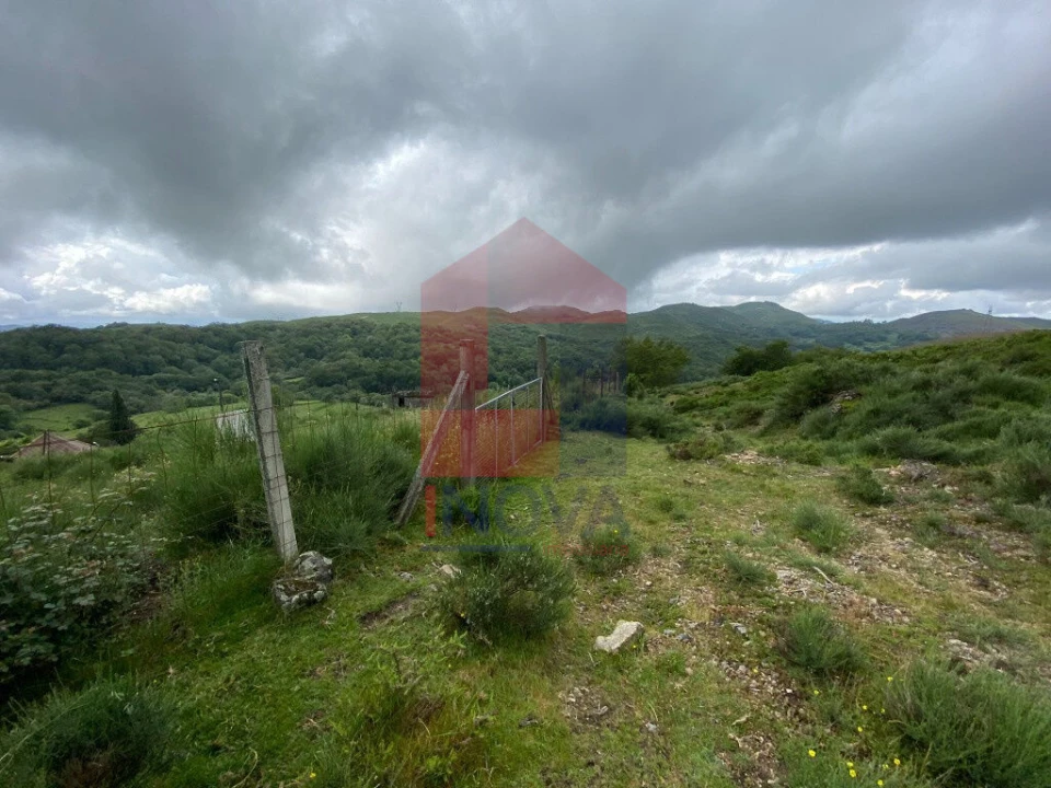 Terreno para Venda em Cibões e Brufe Foto 14