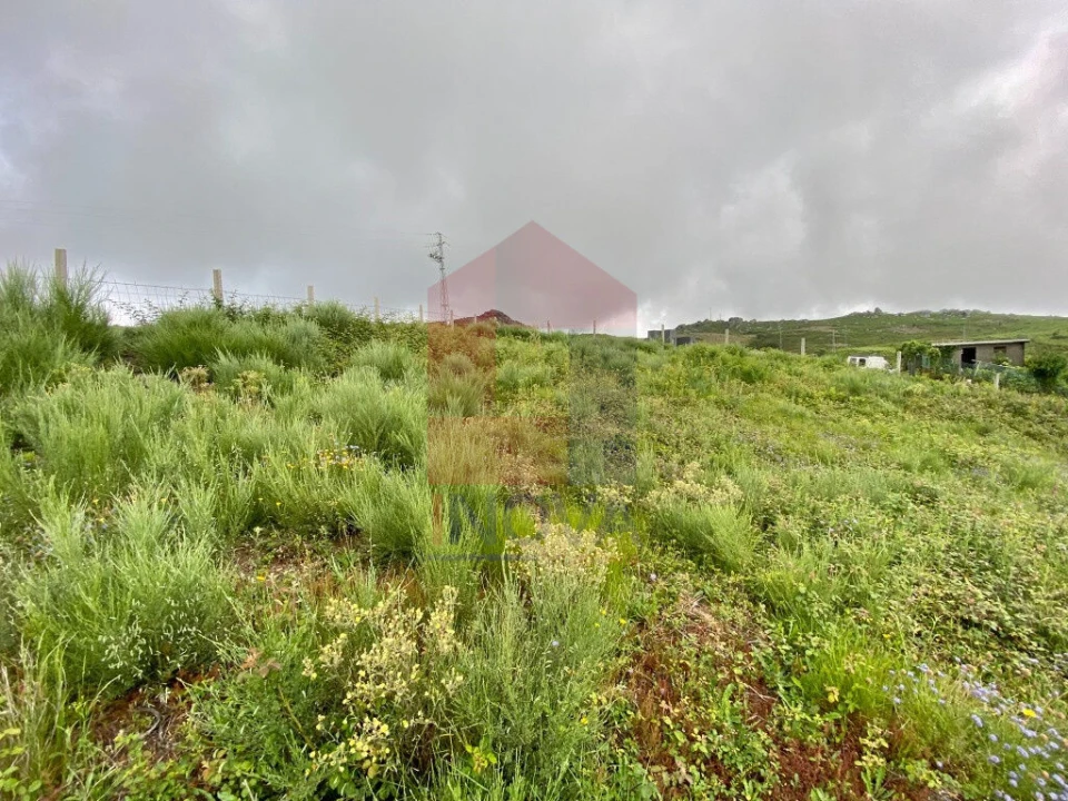 Terreno para Venda em Cibões e Brufe Foto 9