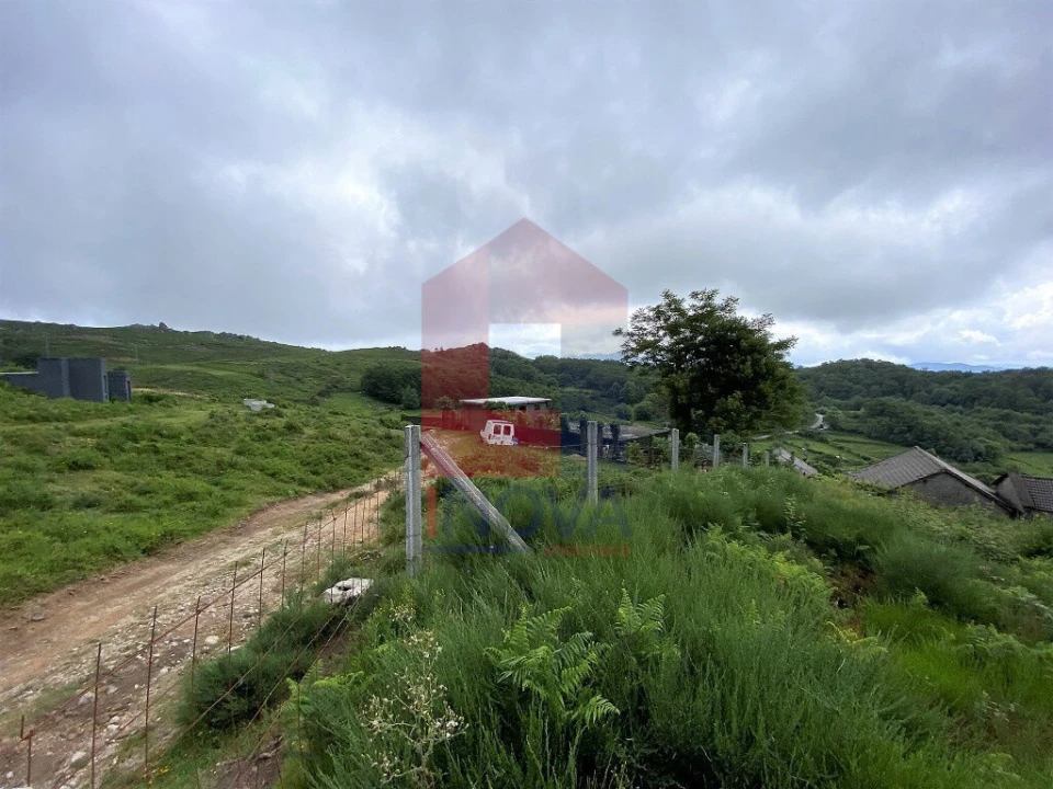 Terreno para Venda em Cibões e Brufe Foto 15