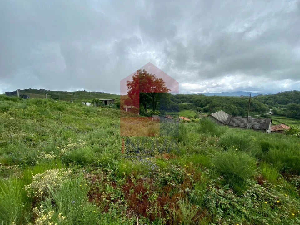 Terreno para Venda em Cibões e Brufe Foto 7