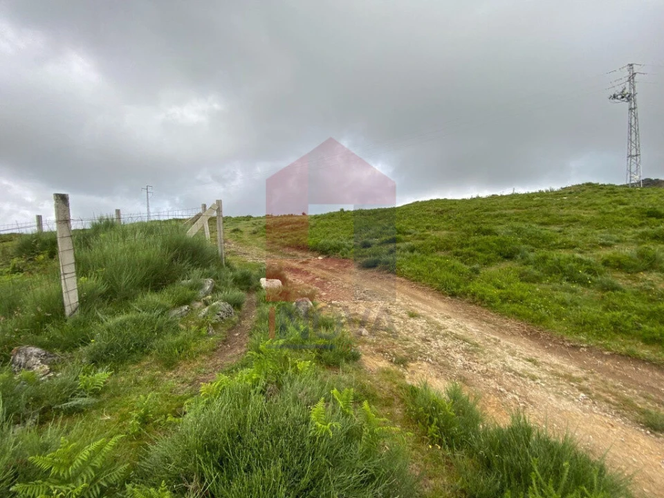 Terreno para Venda em Cibões e Brufe Foto 22