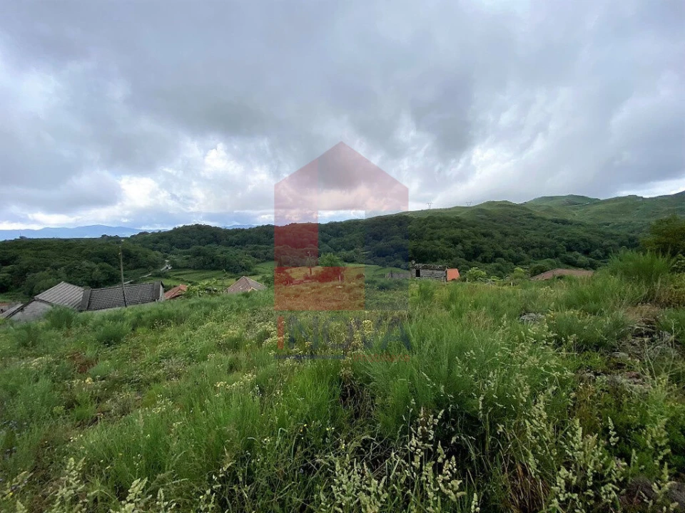 Terreno para Venda em Cibões e Brufe Foto 4