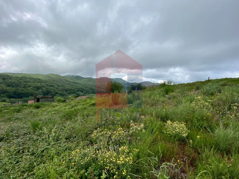 Terreno para Venda em Cibões e Brufe Foto 6