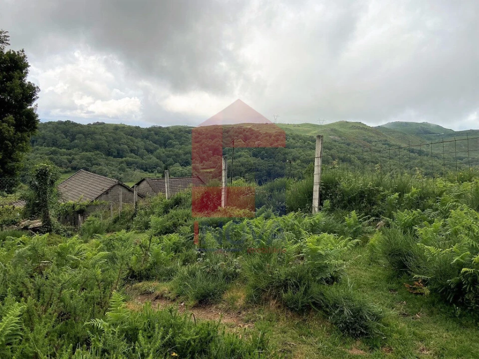 Terreno para Venda em Cibões e Brufe Foto 17